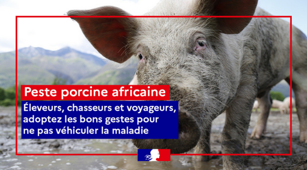 Peste Porcine Africaine