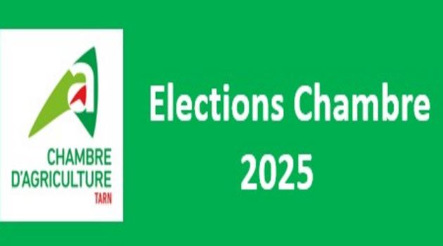 Avis de dépôt des listes électorales définitives – 2025